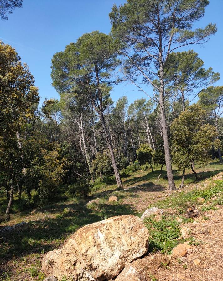 Les Hauts Du Peireguier La Motte エクステリア 写真